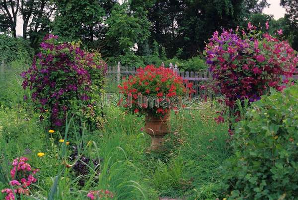 Herb garden