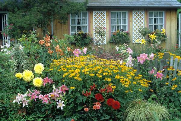 Cottage garden