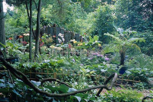 Tropical garden