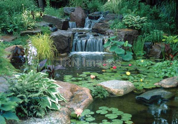 Water garden