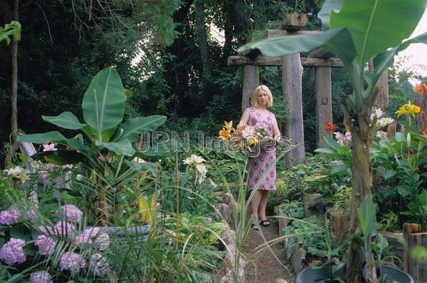 Tropical garden