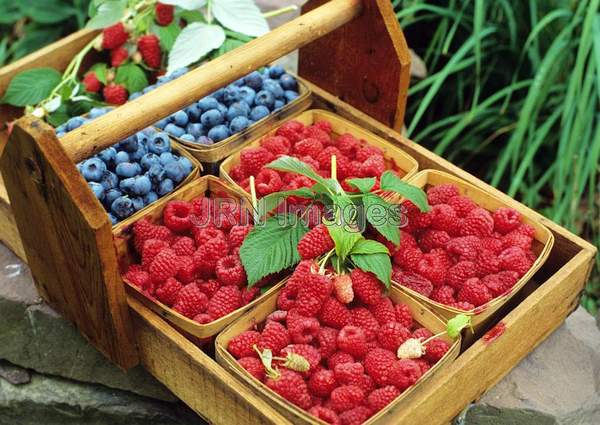 Raspberries