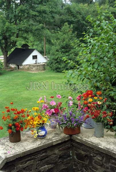 Flower arrangement