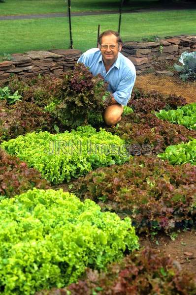 Vegetable garden