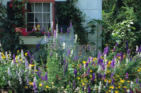 Cottage garden