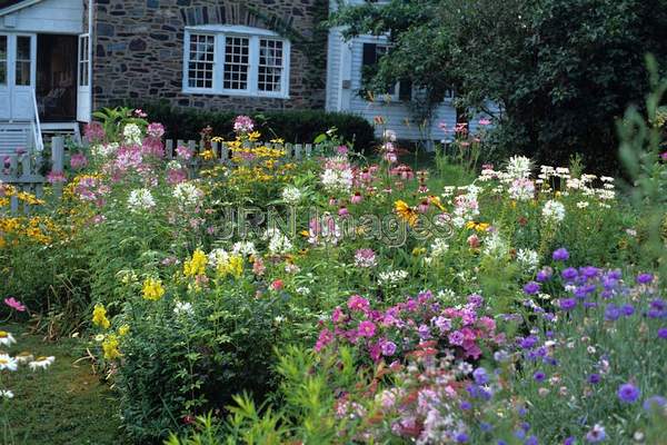 Cottage garden