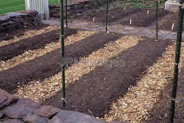 Vegetable garden