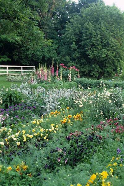 Perennial garden