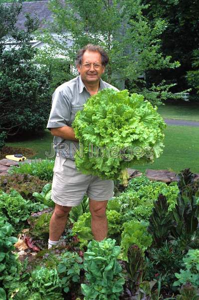 Vegetable garden