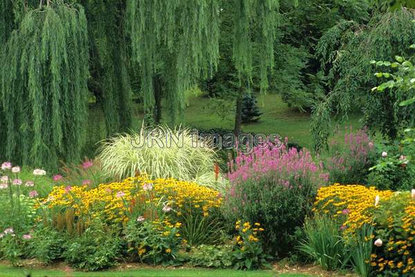 Perennial garden