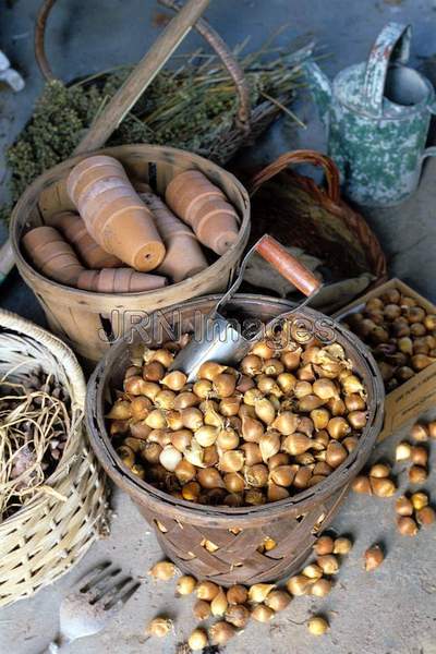 Potting shed