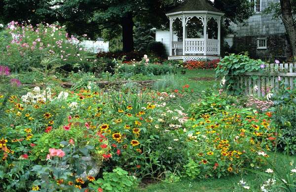 Cottage garden