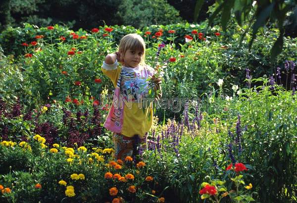 Cutting garden