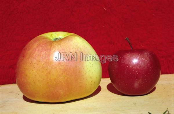 Apple 'Jumbo'