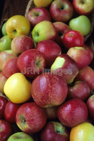 Apples mixed varieties