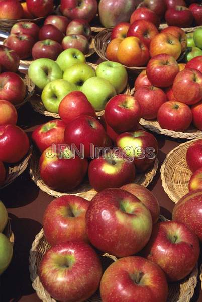 Apples mixed varieties