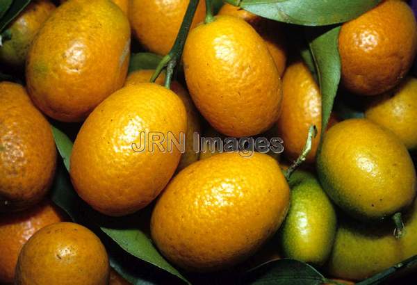 Kumquats