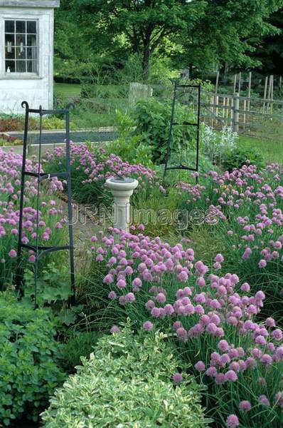 Herb garden