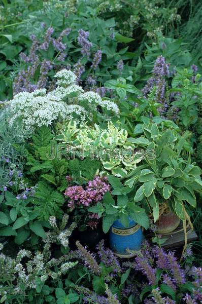 Herb garden