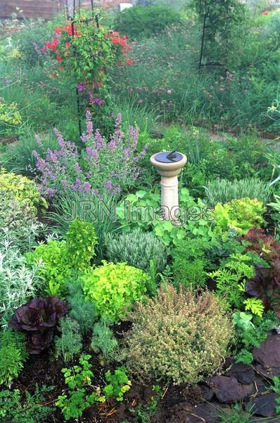 Herb garden