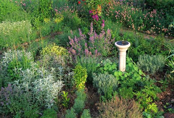 Herb garden