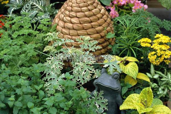 Herb garden