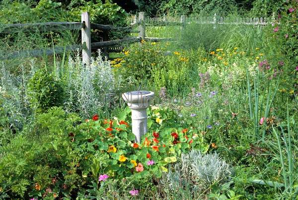 Herb garden