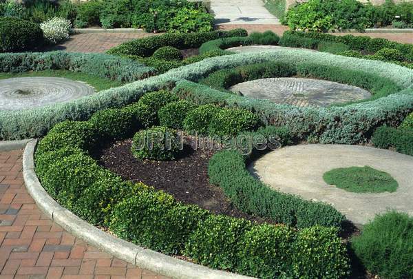 Knot garden