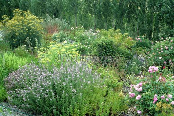 Herb garden