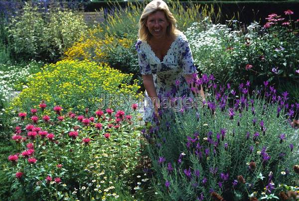 Herb garden