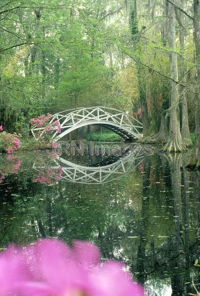 Bamboo lake