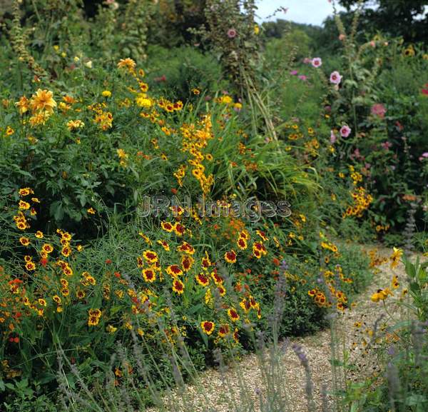 Flower Garden