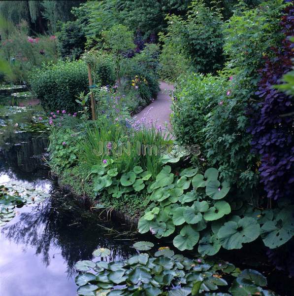 Water Garden