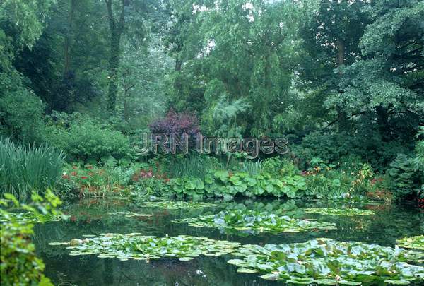 Water Garden