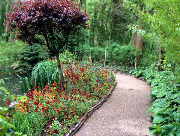 Water Garden