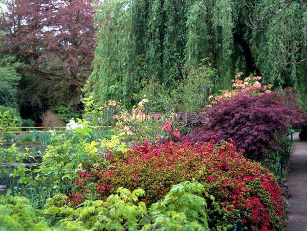 Water Garden