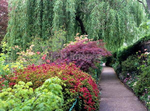 Water Garden