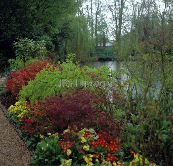 Water Garden