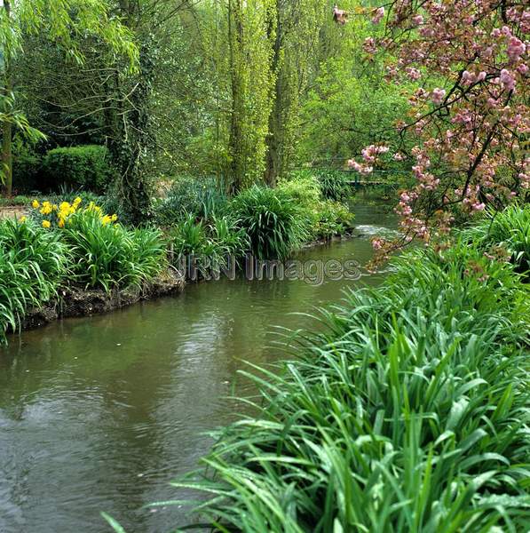 Water Garden