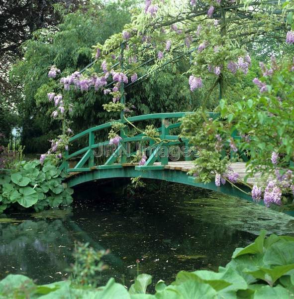 Water Garden