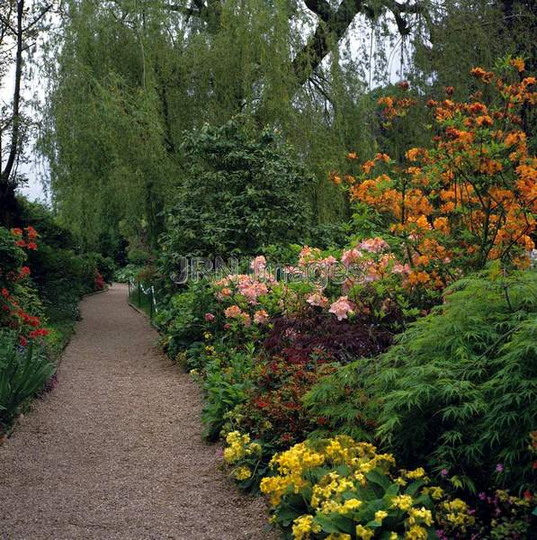 Water Garden