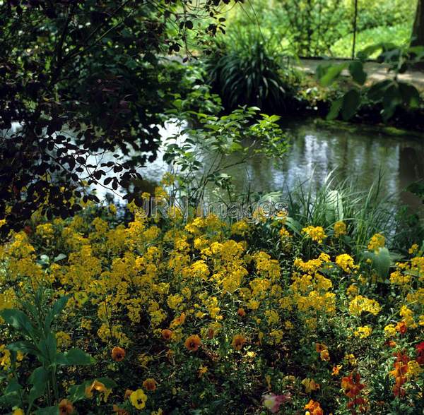 Water Garden