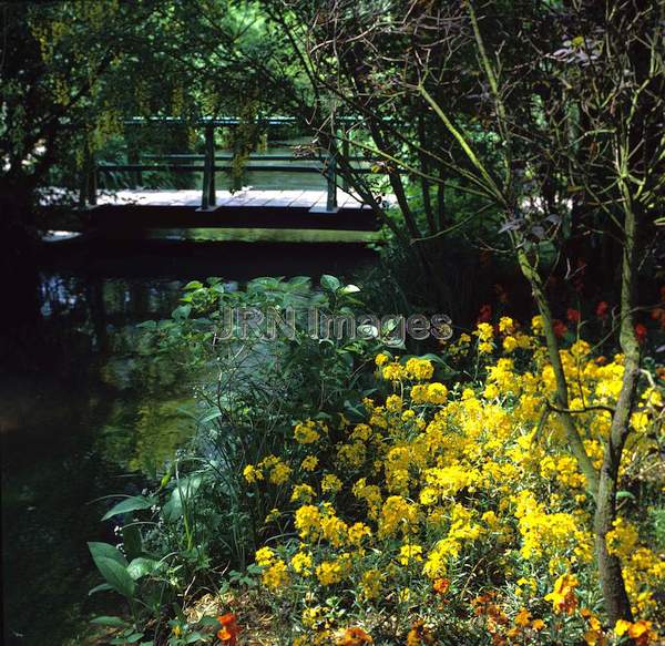 Water Garden