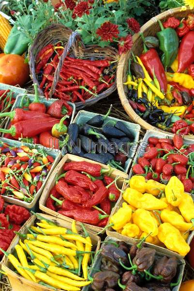 Hot peppers