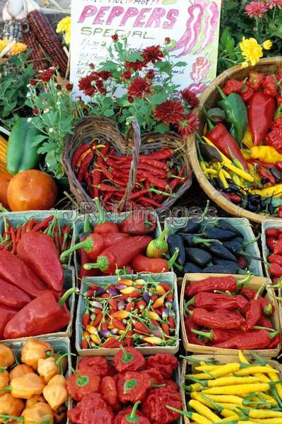 Hot peppers