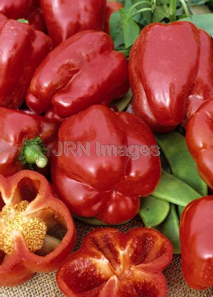 Pepper 'California Wonder'