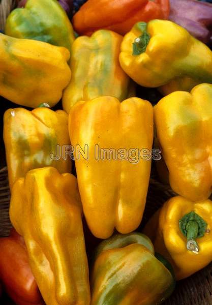 Pepper 'Golden Goliath'