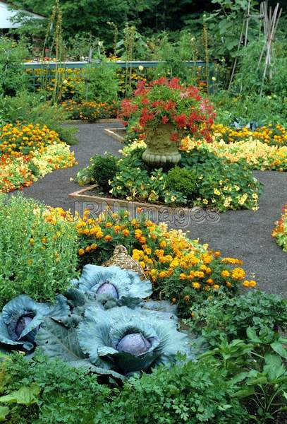 Vegetable garden