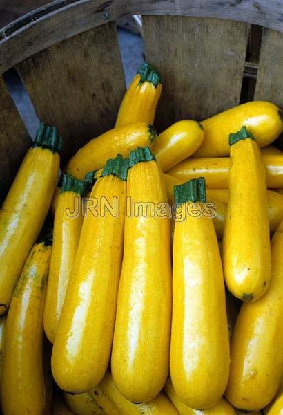 Squash 'Gold Rush'