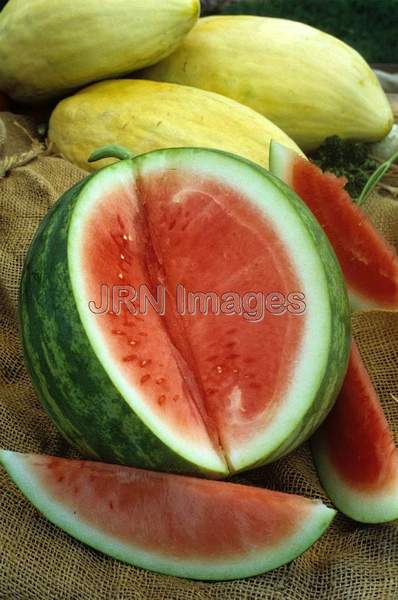 Melon